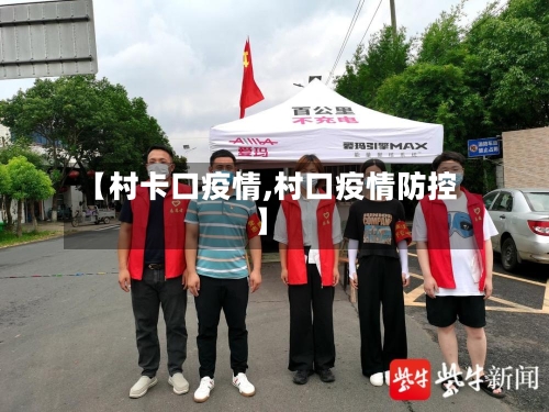 【村卡口疫情,村口疫情防控】-第3张图片